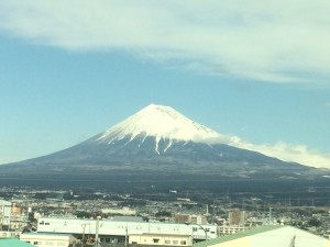 IMG_0305