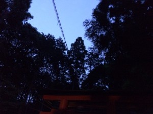 IMG_1683
