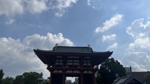 IMG_3260
