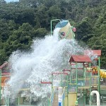 IMG_4714