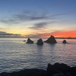 IMG_4731