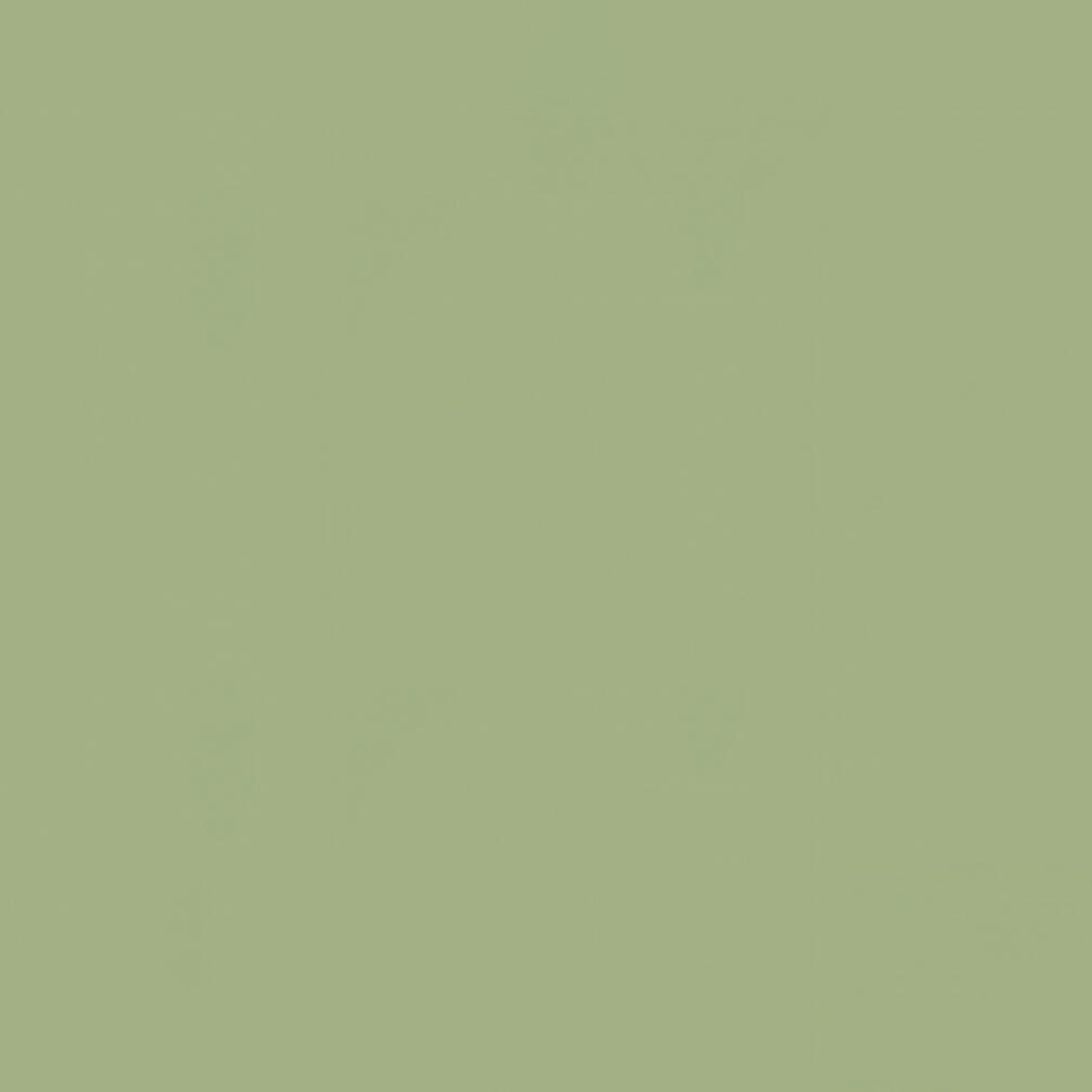 055_Olive